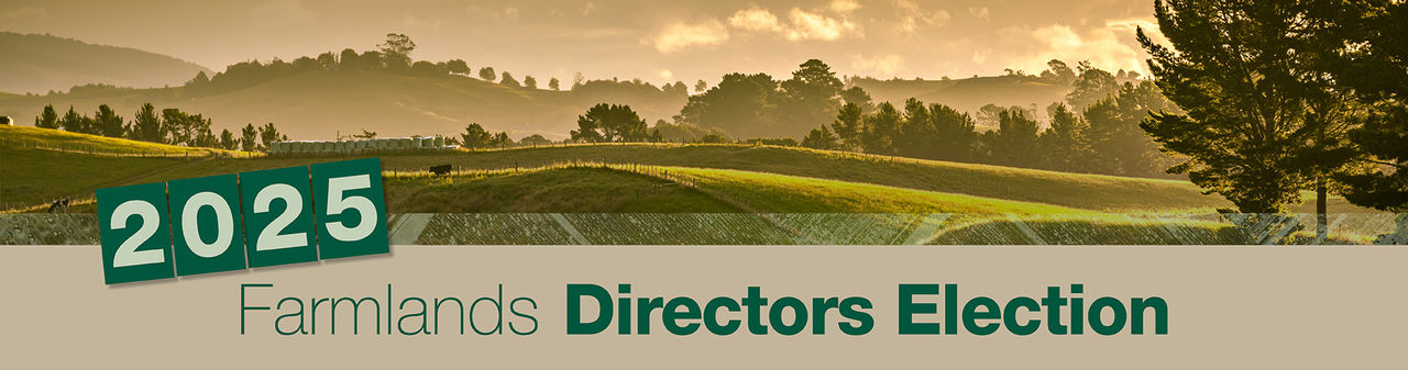 desktop-directoselection