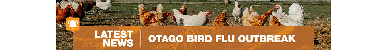 desktop birdflu callout