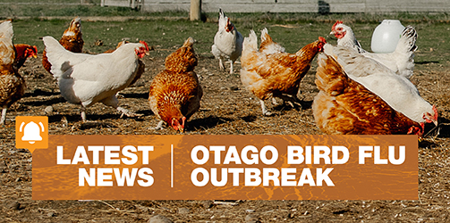 mobile birdflu callout